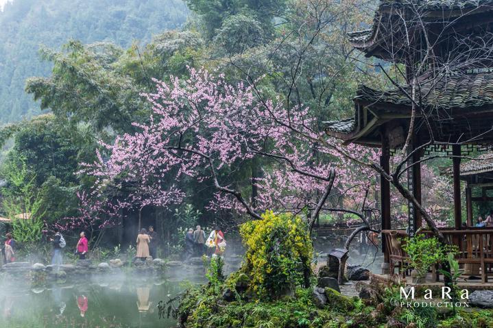“什么样的朋友才算朋友?-解决问题,分享经验”
