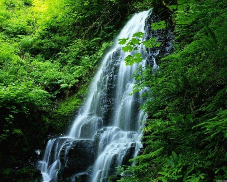 抖音短视频怎么保存相册 保存到相册方法知识星球平台,深入解读抖音短视频怎么保存相册 保存到相册方法领域,提供专业知识分享